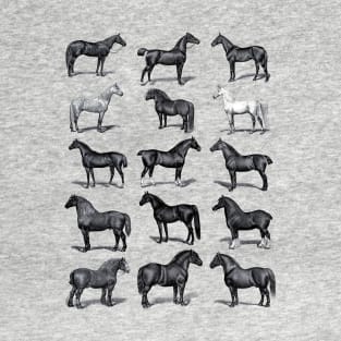 Vintage Horse Breed Chart T-Shirt